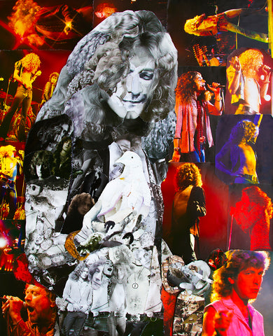 Robert Plant Dove Collage Poster - multymedia
