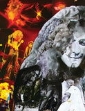 Robert Plant Collage Canvas Print - multymedia