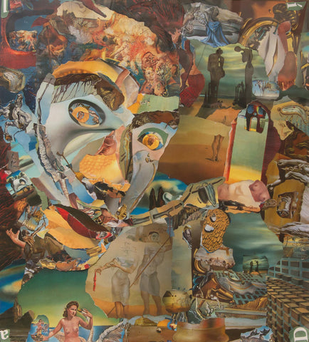 Salvador Dali Collage - multymedia