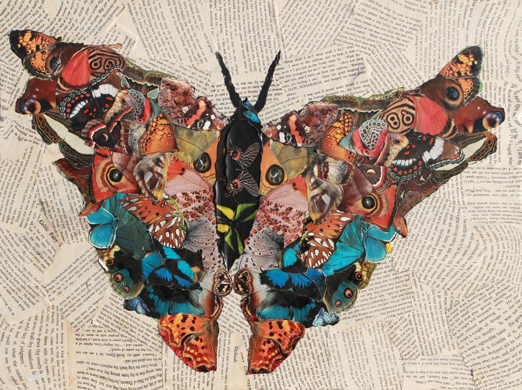 Butterfly Collage - multymedia